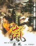 感官暴风影音先锋
