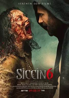 6Ӱȷ