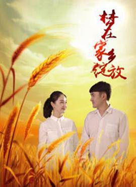 梦在家乡绽放影音先锋