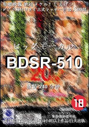 BDSR-510torrent