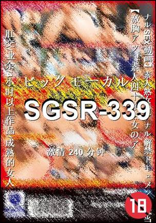 SGSR-339torrent