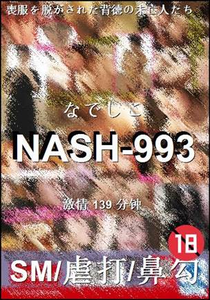 NASH-993torrent