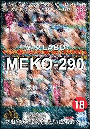 MEKO-290torrent