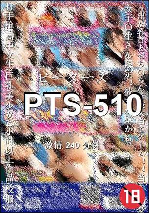 PTS-510torrent