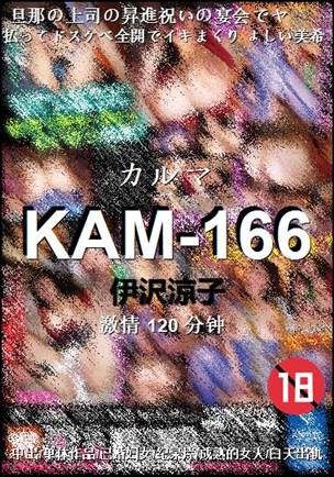 KAM-166torrent
