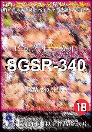 SGSR-340torrent