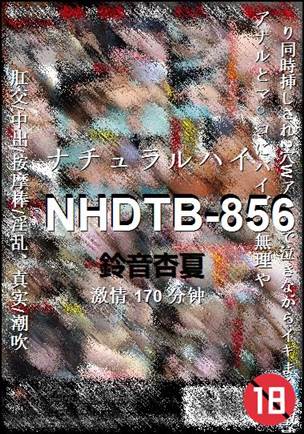 NHDTB-856torrent