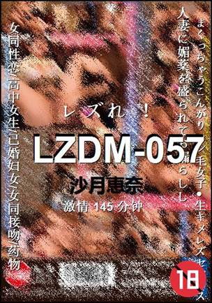 LZDM-057torrent