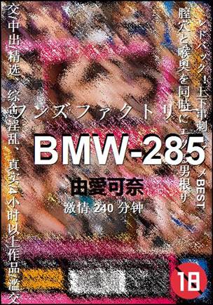 BMW-285torrent