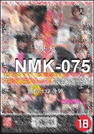 NMK-075torrent