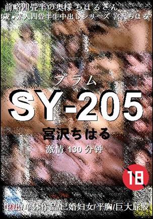 SY-205torrent