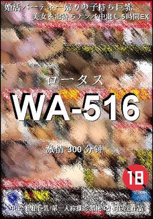 WA-516torrent
