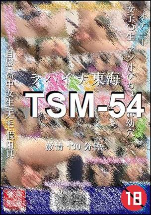 TSM-54torrent