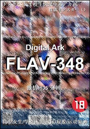 FLAV-348torrent