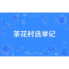 茶花村选举记影音先锋