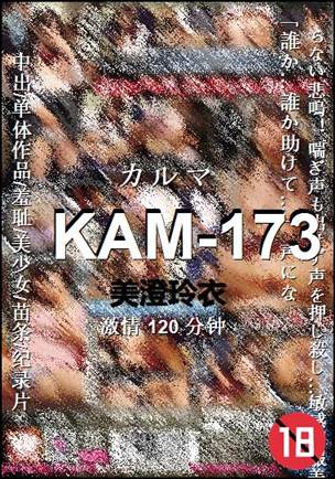KAM-173torrent