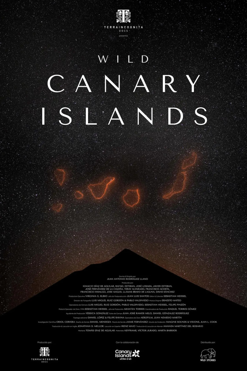 ������Ⱥ��Ӱ���ȷ�