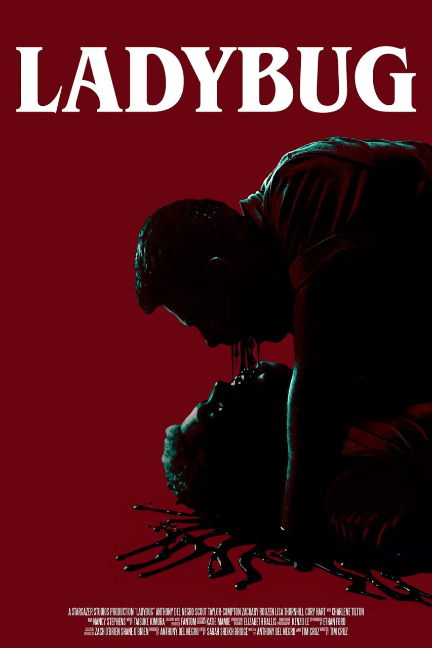 �޹���ưӰ���ȷ�