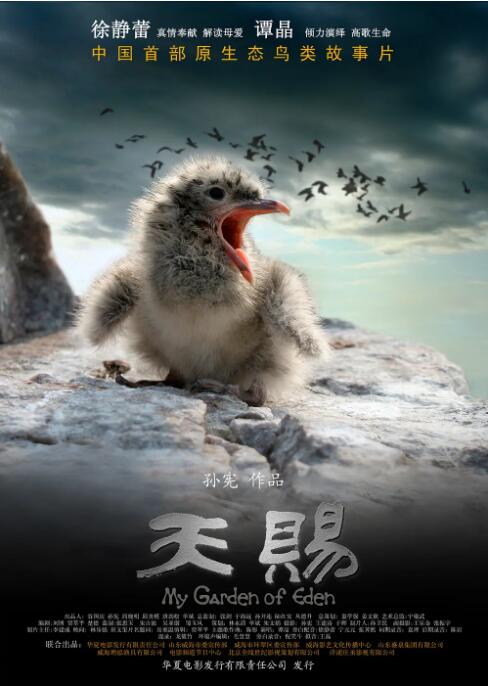 Ϳ첥