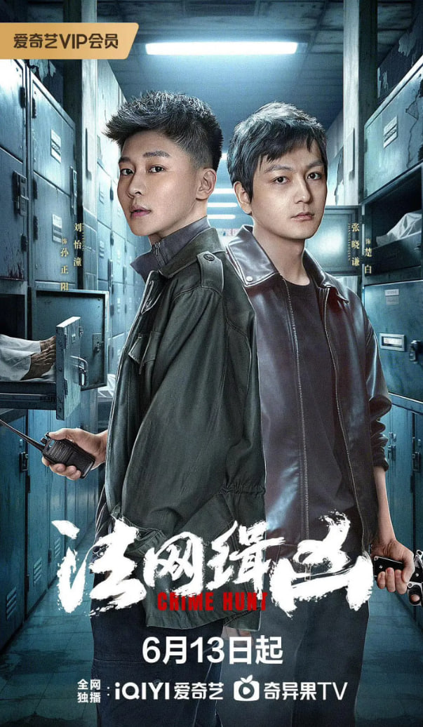 法网缉凶全集