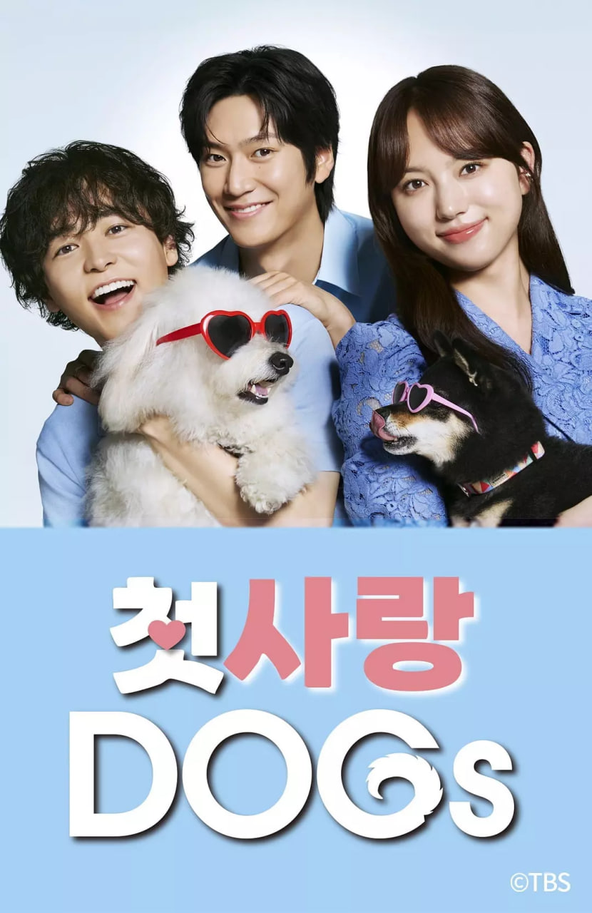 DOGsȫ