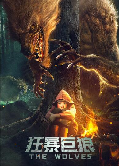 �񱩾���Ӱ���ȷ�